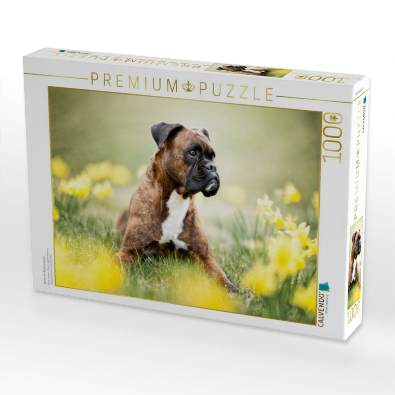 Boxer im Blütenrausch