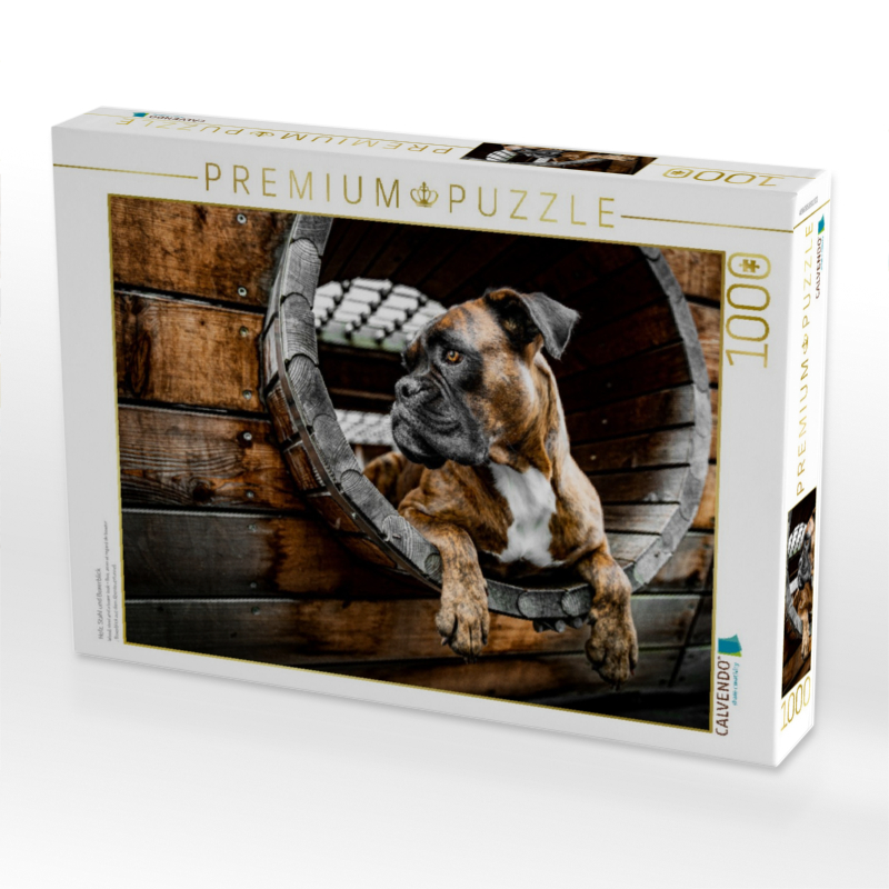 Holz, Stahl und Boxerblick