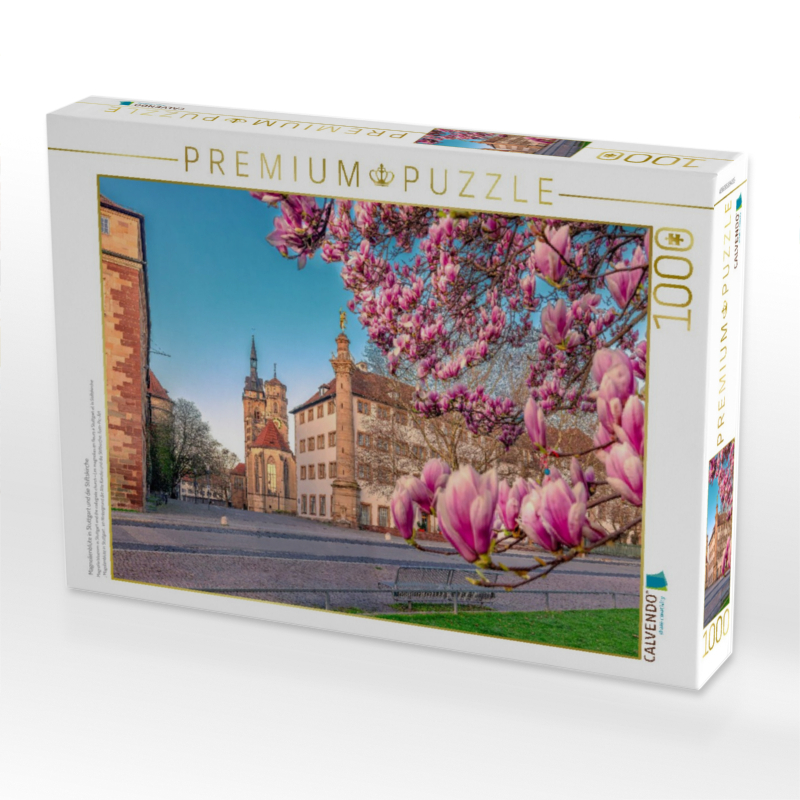 Magnolienblüte in Stuttgart und die Stiftskirche