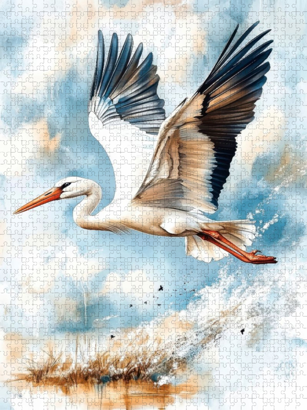 Storch