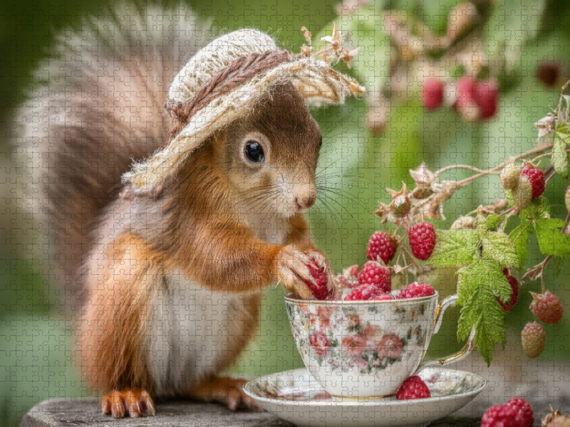 Beerenschätze in feiner Tasse