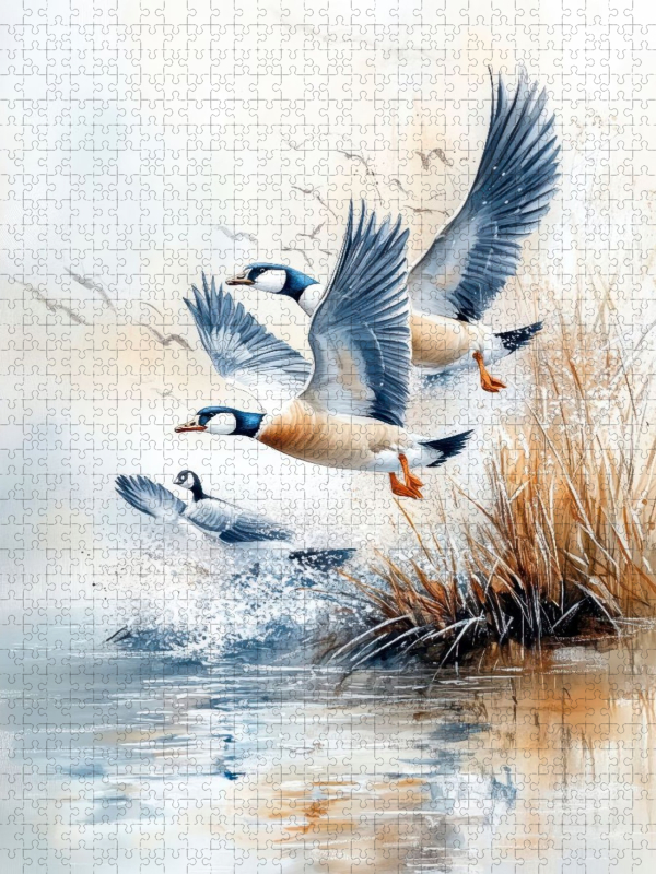Gänse