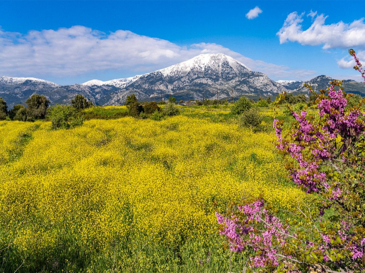 Frühling auf Euböa
