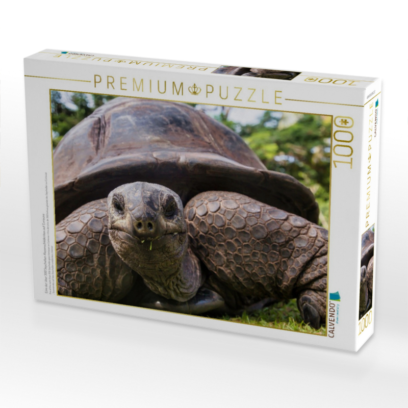 Eine der über 300 Seychellen-Riesenschildkröten auf Curieuse