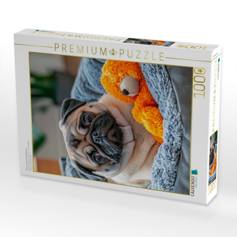 Mops und sein Kuschelbärchen