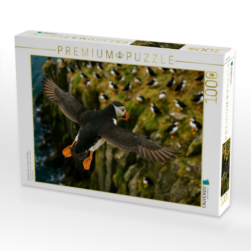 Papageitaucher im Flug an der Klippe