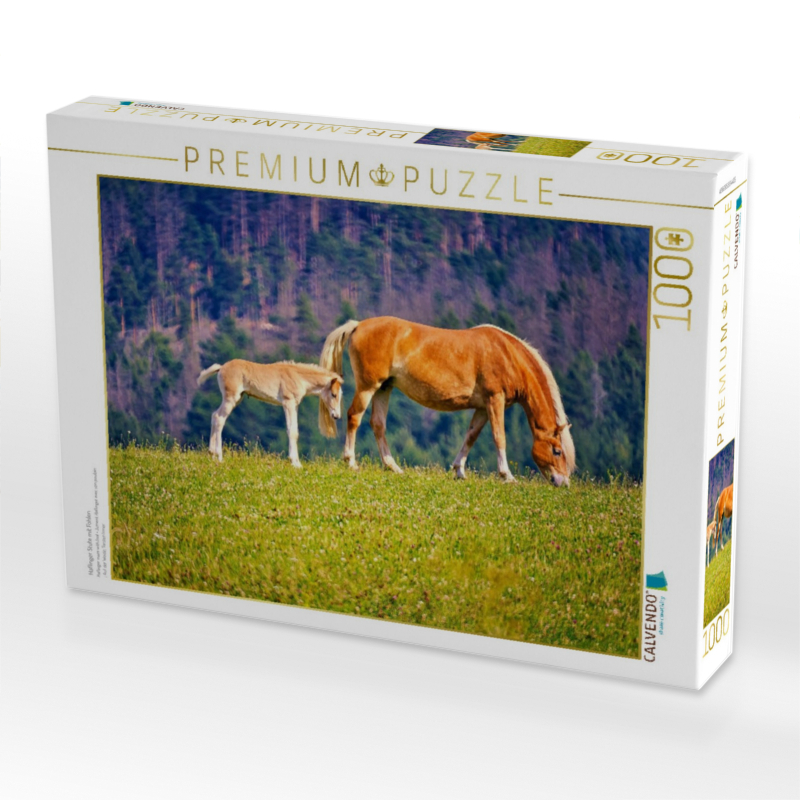 Haflinger Stute mit Fohlen