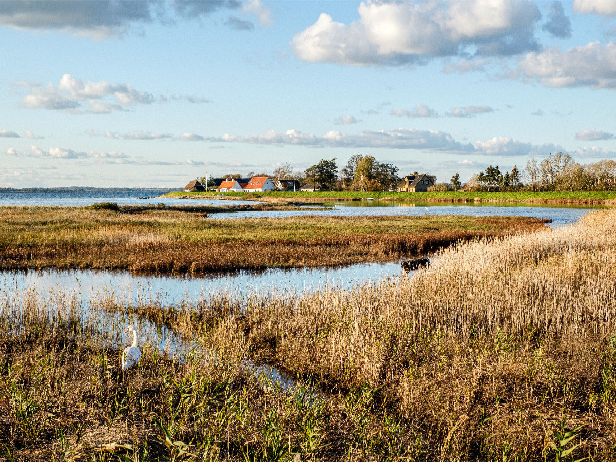 Sønderjylland - Dänemarks Süden