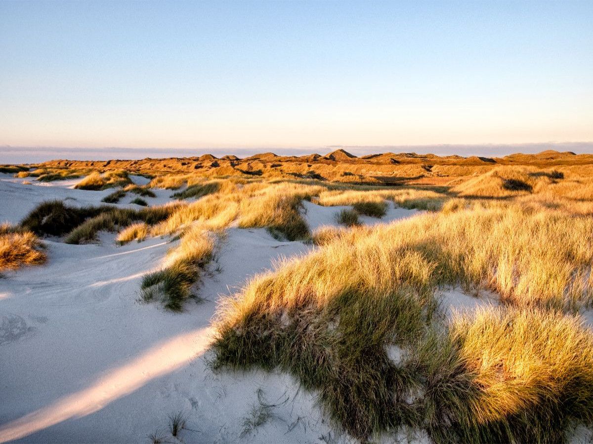 Amrum: Natur und Freiheit
