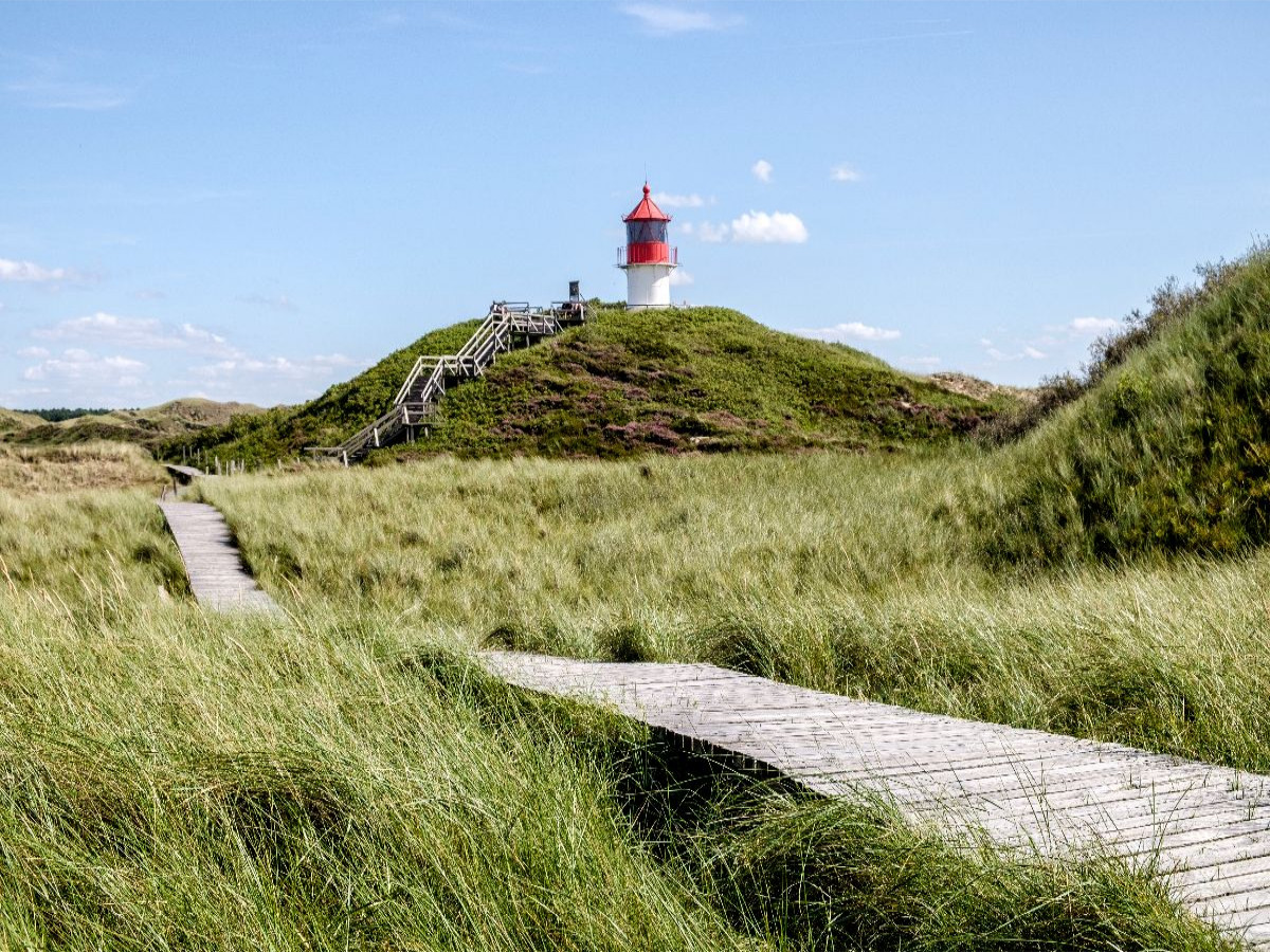 Amrum: Natur und Freiheit