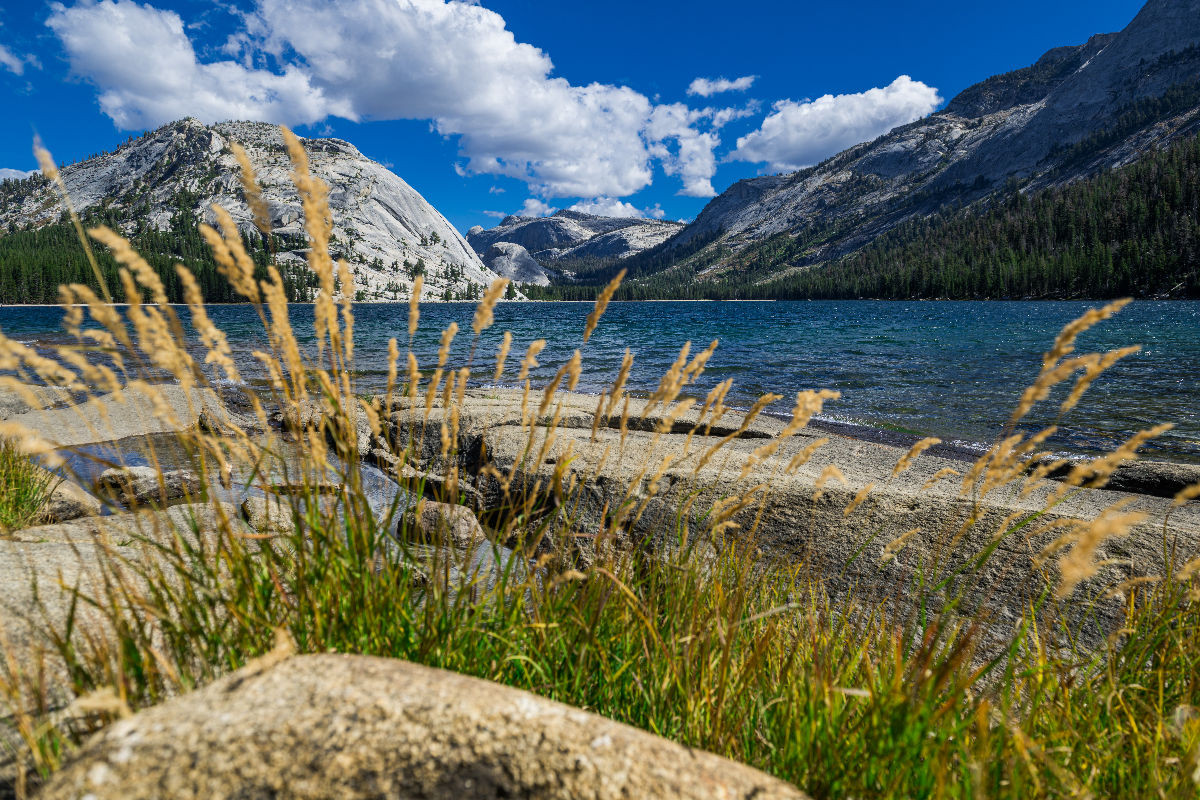 Tenaya Lake