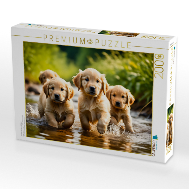 Golden Retriever Welpen