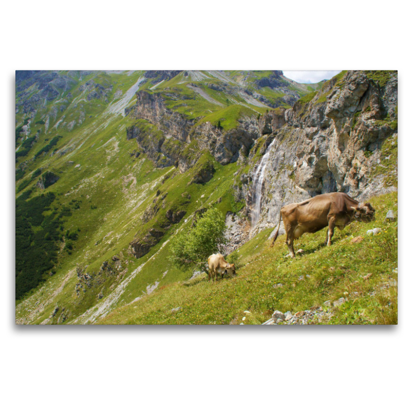 Zwei Kühe grasen mitten in den Alpen