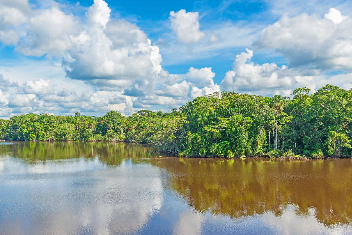 Amazonas, der wassereichste Fluss der Erde