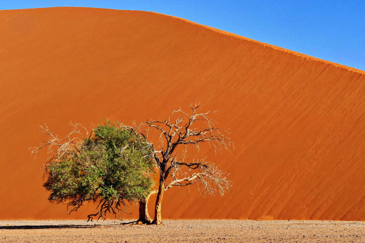 Düne 45 Namibia