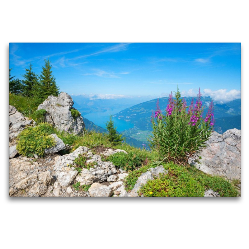 Thunerseeblick Schynige Platte
