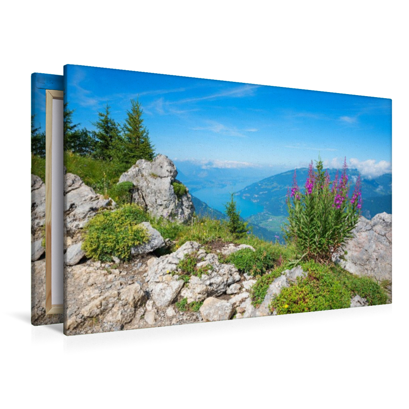 Thunerseeblick Schynige Platte