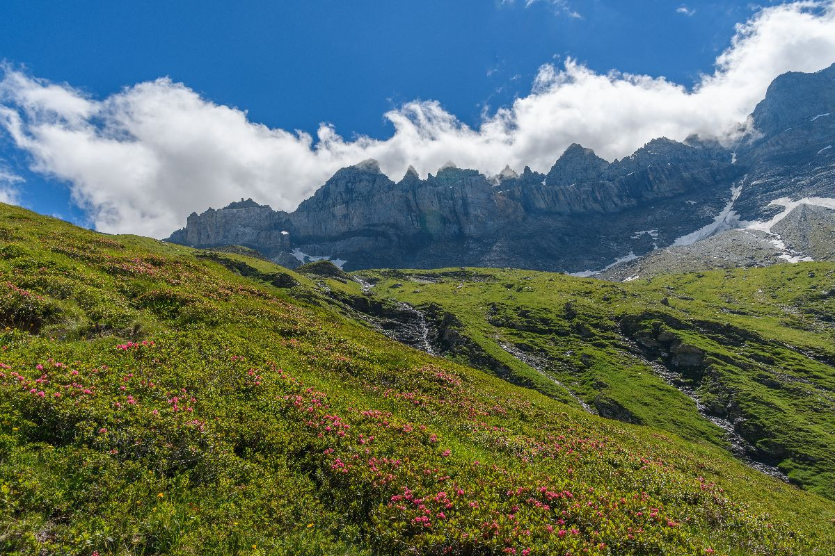 Wo die Wolken die Erde berühren