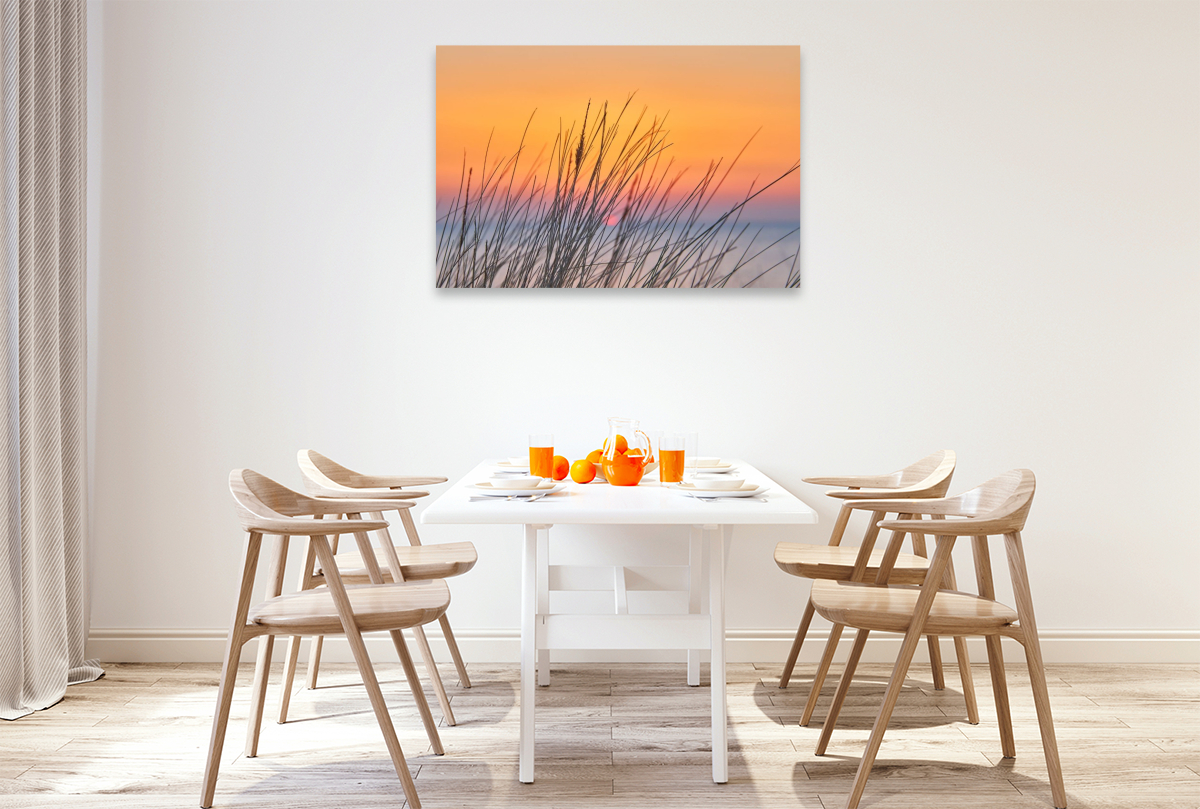 Dünengras im Sonnenuntergang