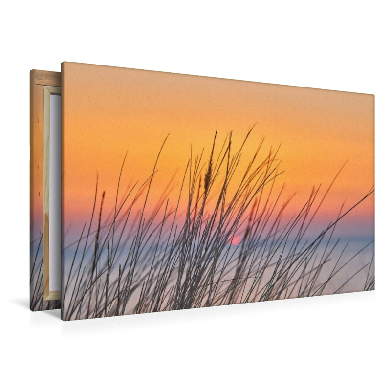 Dünengras im Sonnenuntergang