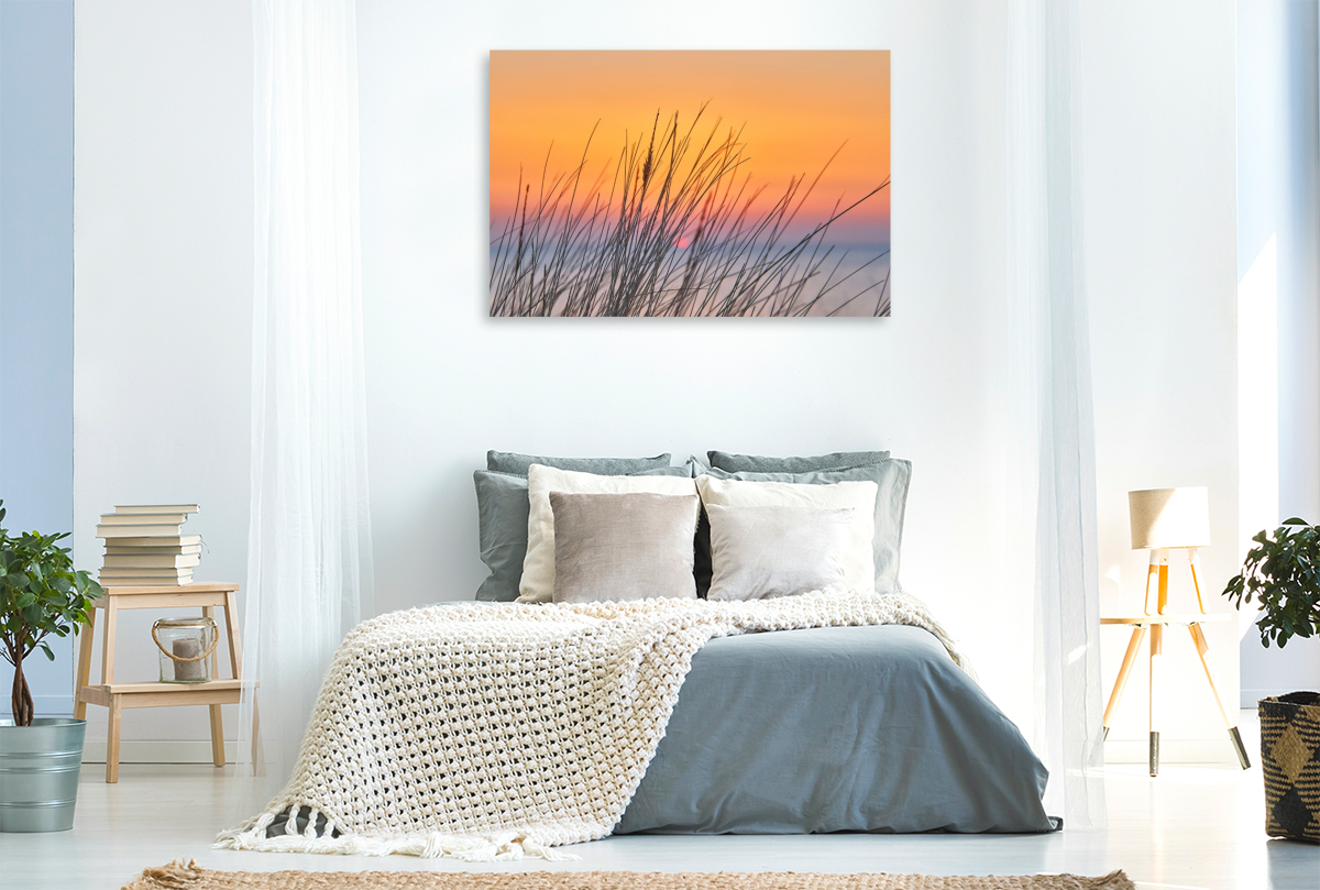 Dünengras im Sonnenuntergang