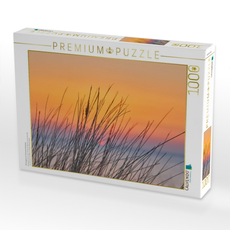 Dünengras im Sonnenuntergang