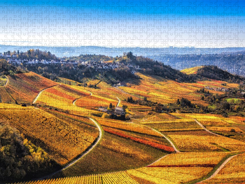 Herbstliches Panorama über die sanft eingebetteten Weinreben in Stuttgart Rotenberg