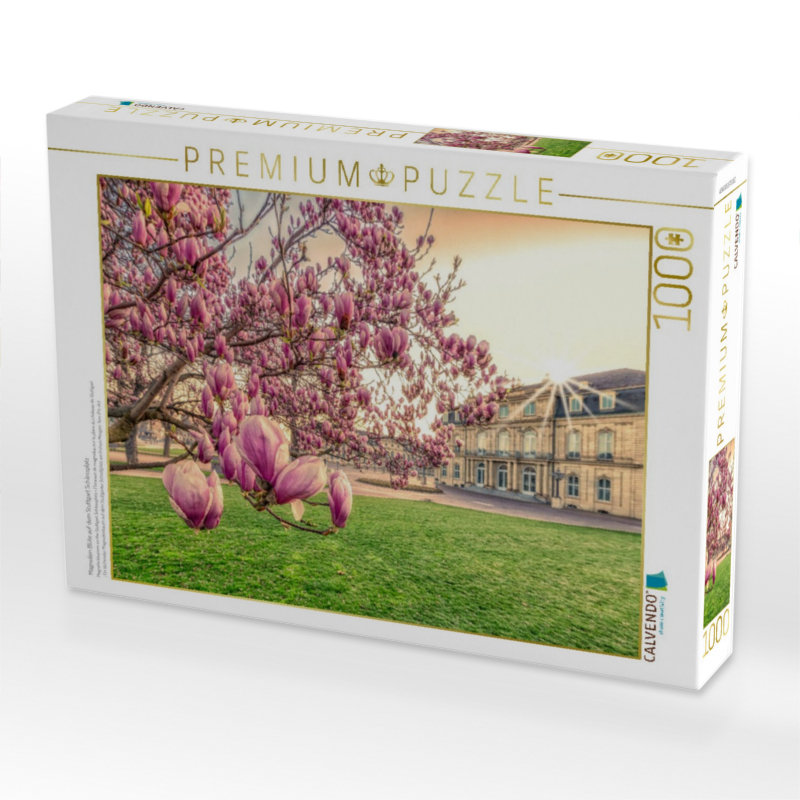 Magnolien Blüte auf dem Stuttgart Schlossplatz