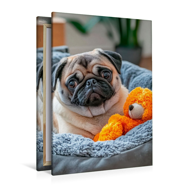 Mops und sein Kuschelbärchen