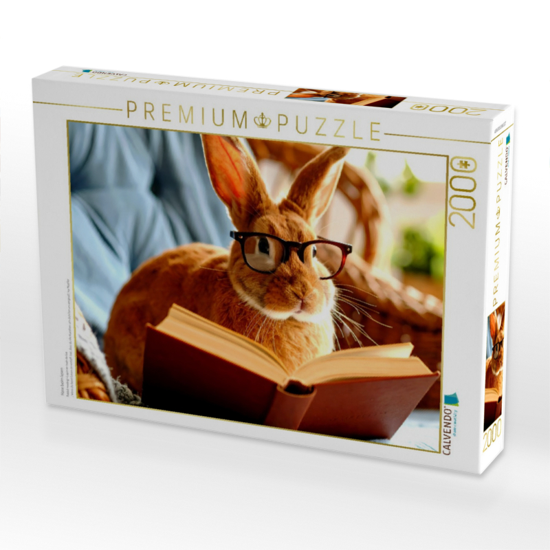 Hase beim lesen