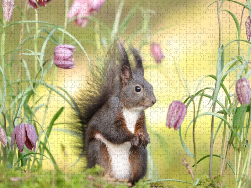 Blumenmädchen