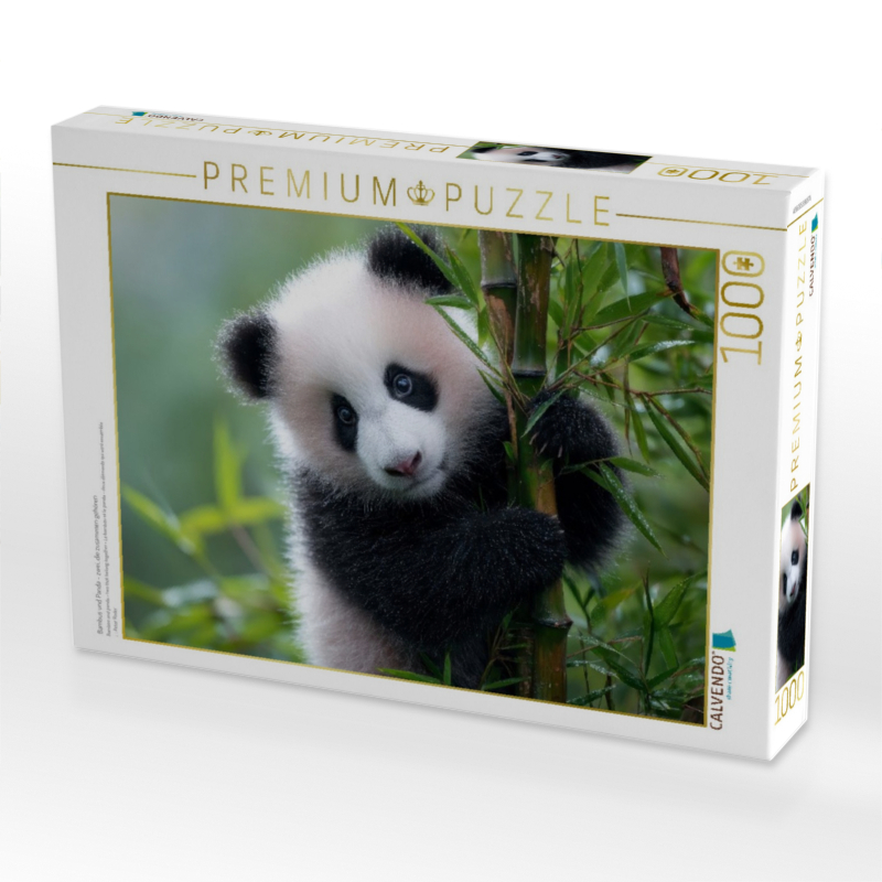 Bambus und Panda - zwei, die zusammen gehören