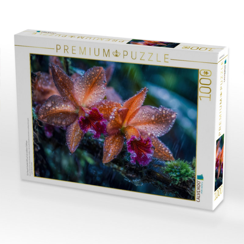 Ein Hauch Exotik trifft auf ein zeitlose Cattleya