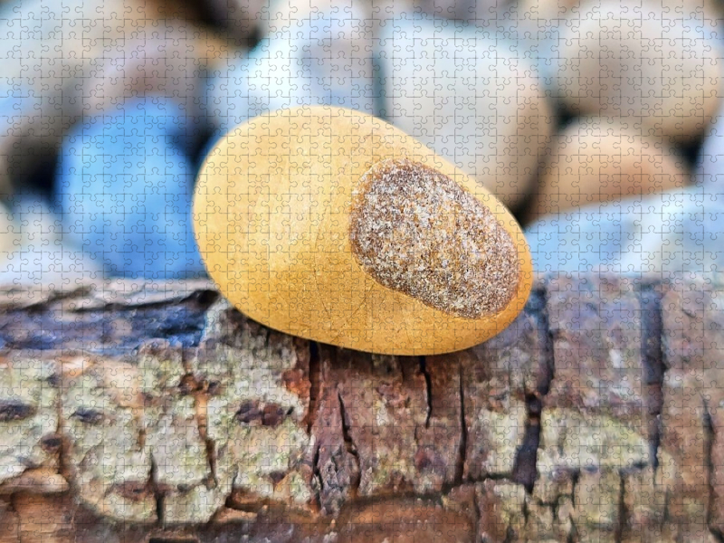 Erinnerung eingeschlossen
