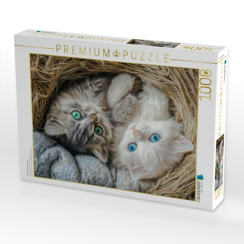 Cats illustrations