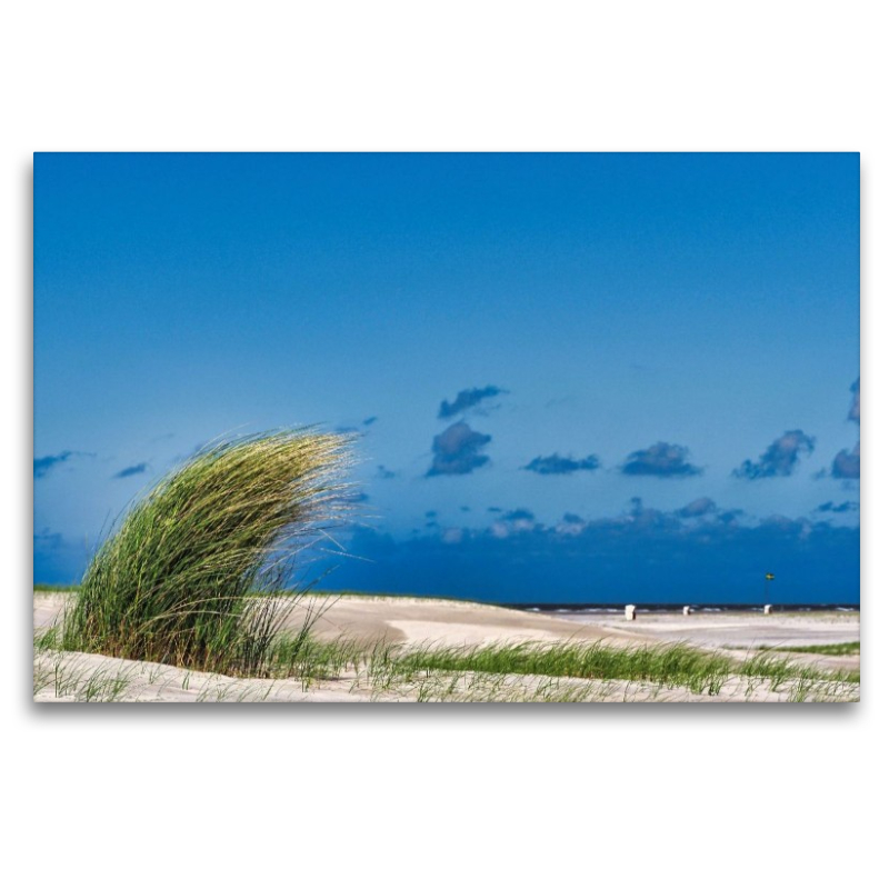 Strandbewuchs