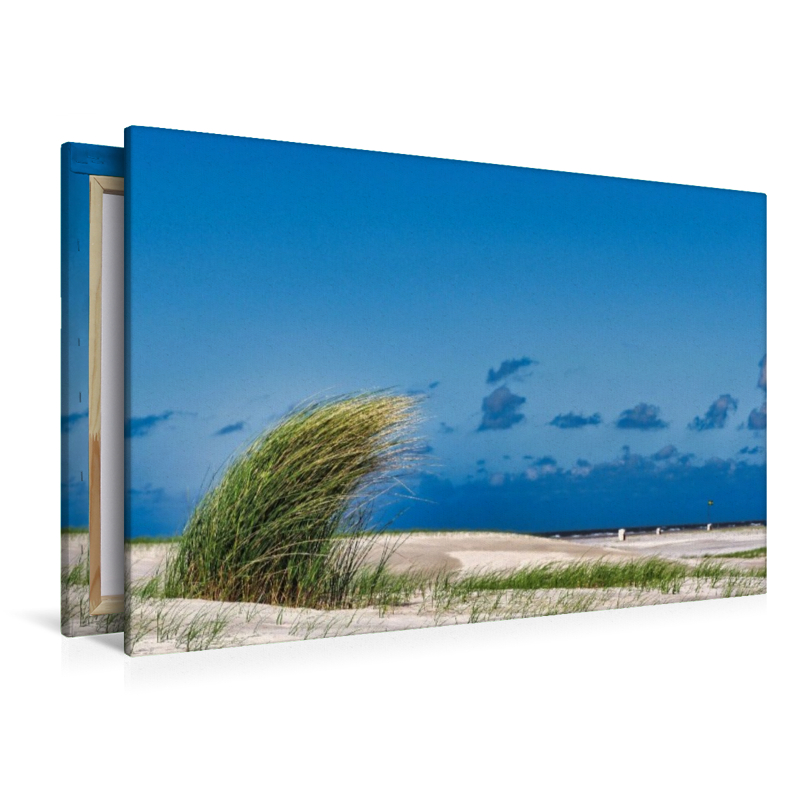 Strandbewuchs