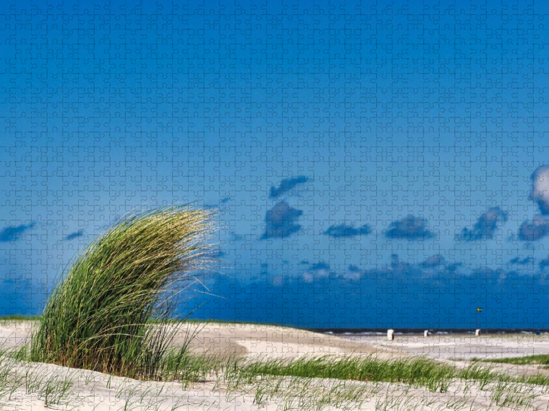 Strandbewuchs