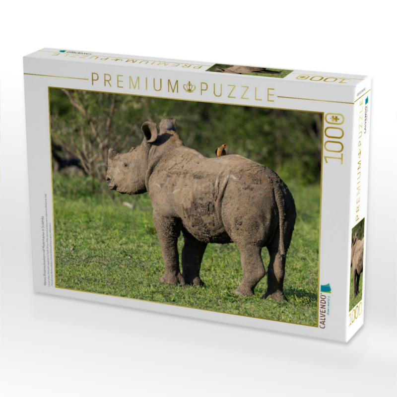 Kleines Breitmaulnashorn mit Madenhacker in Südafrika