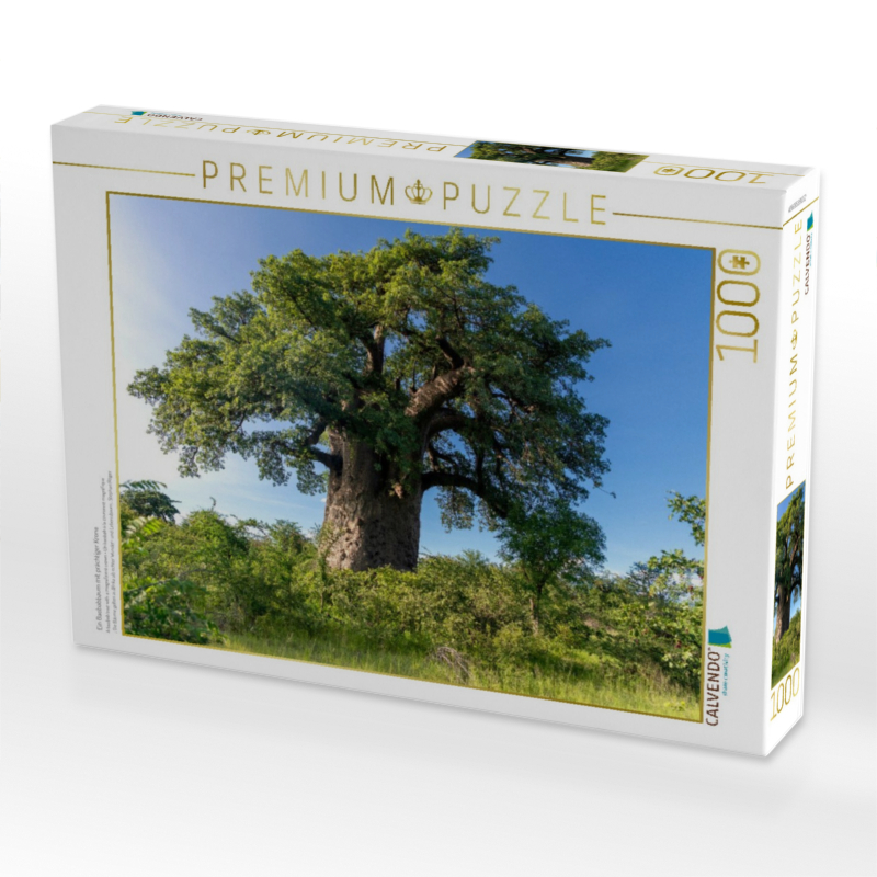Ein Baobabbaum mit prächtiger Krone