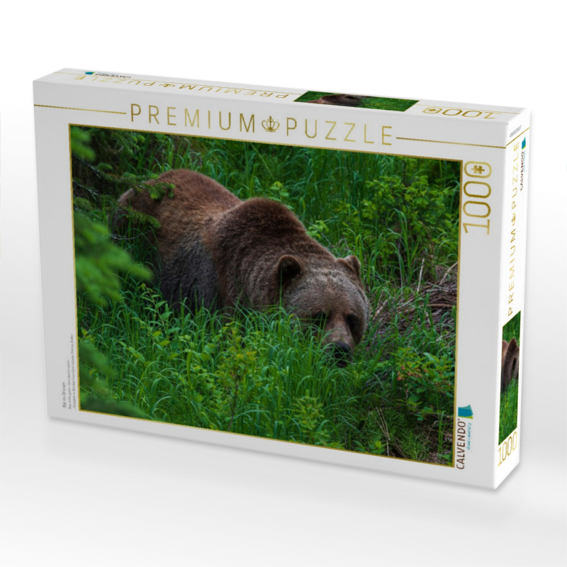 Bär im Grünen