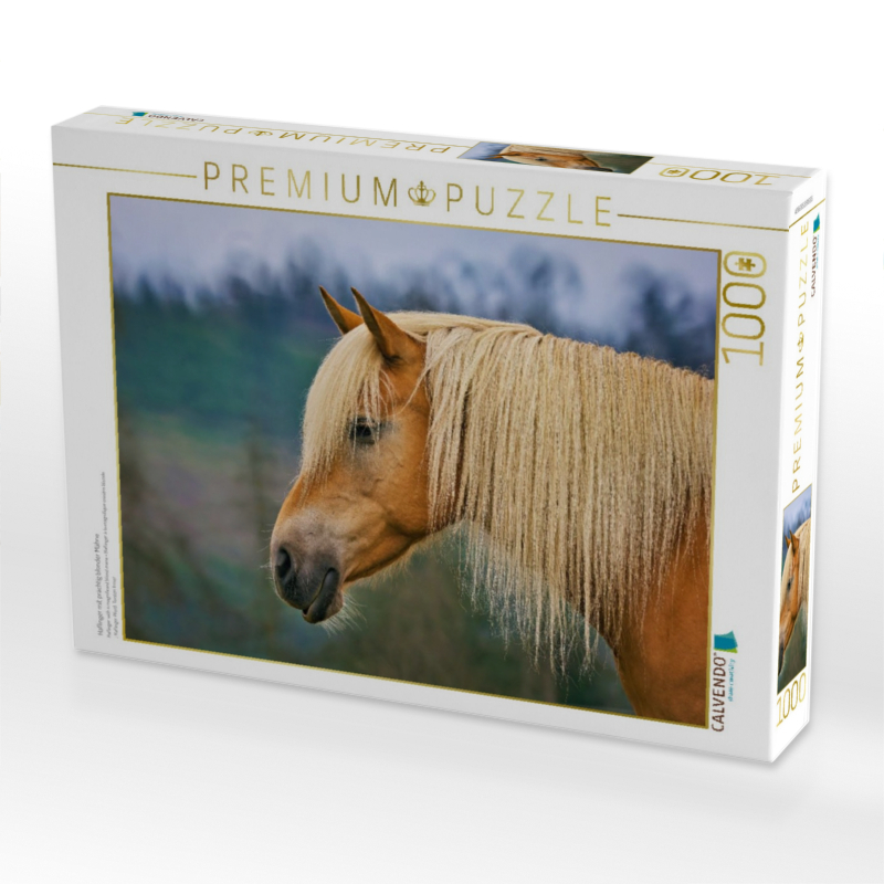 Haflinger mit prächtig blonder Mähne
