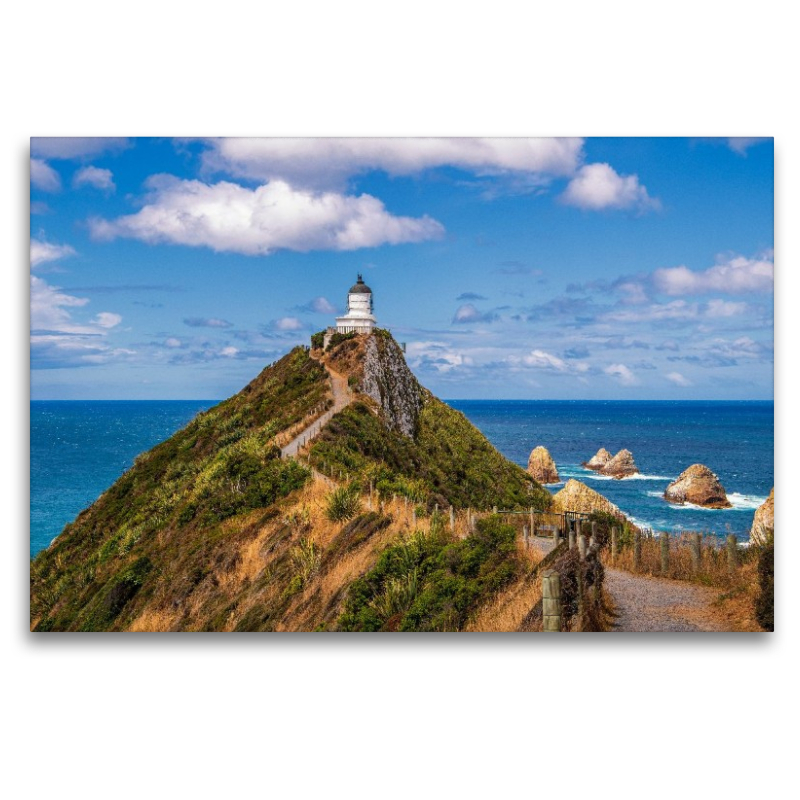 Leuchtturm am Nugget Point