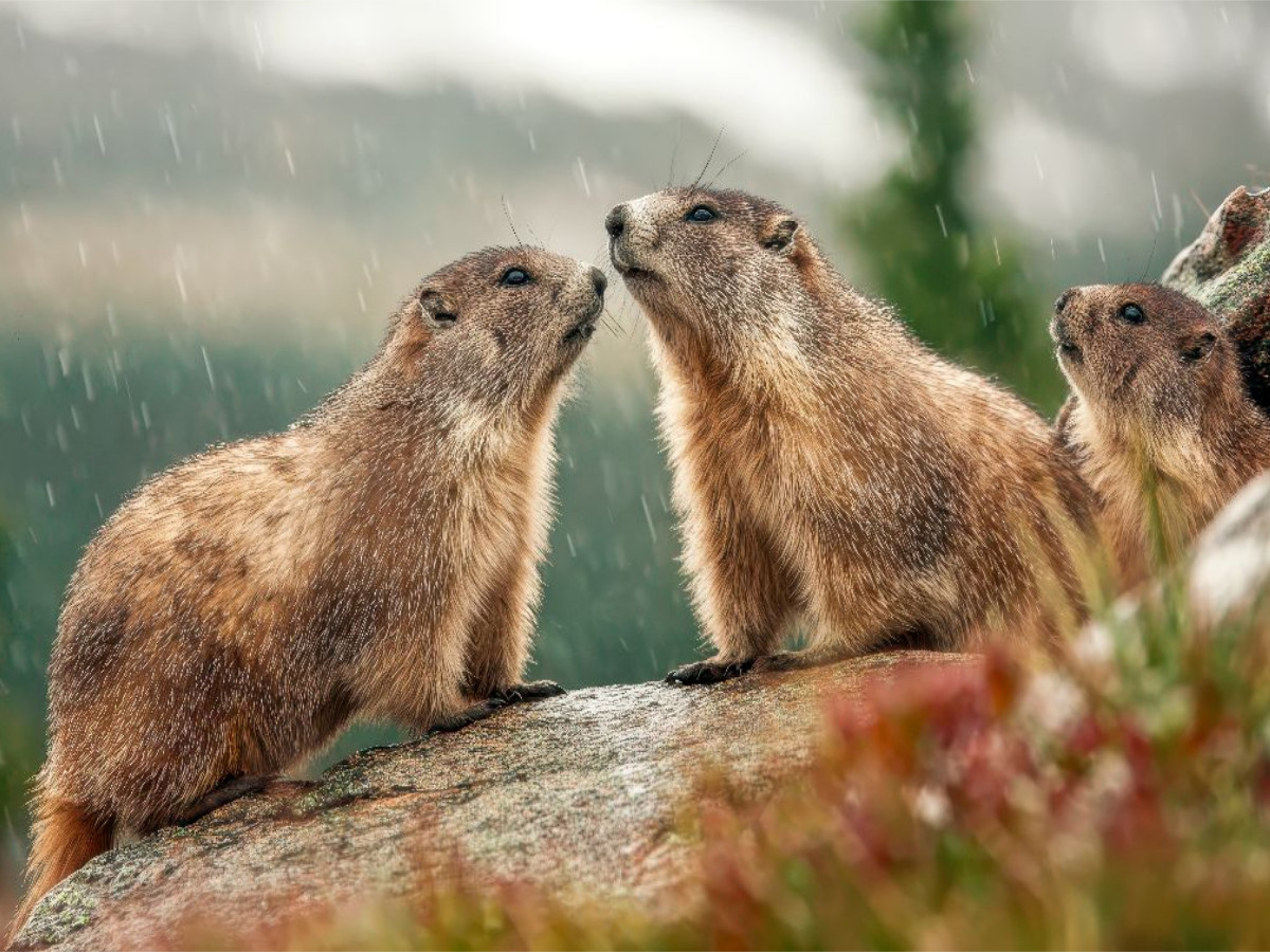 Oh wie schön - eine Regendusche