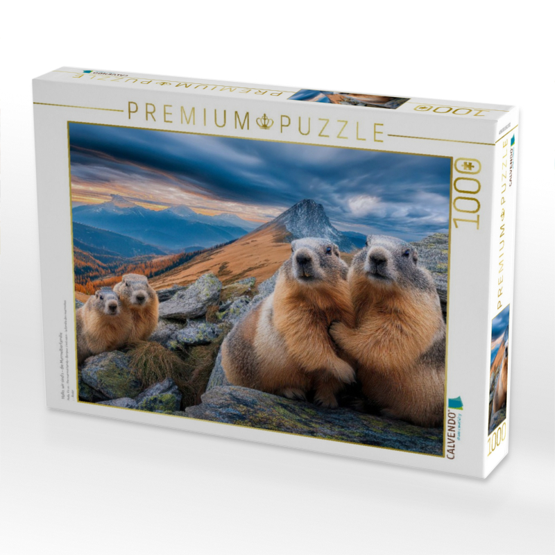 Hallo, wir sind´s - die Murmeltierfamilie