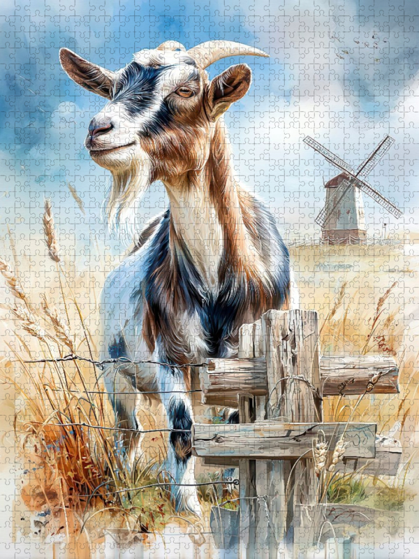 Eine wunderschöne Ziege