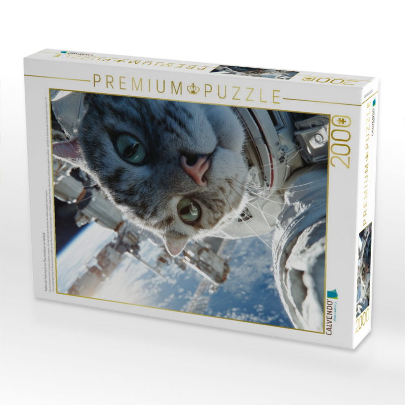 Katze als Astronaut vor Raumstation im Weltall