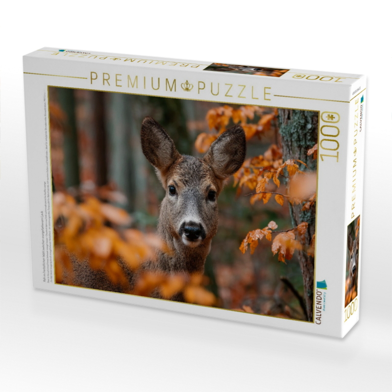 Reh im herbstlichen Wald zwischen orangefarbenem Laub
