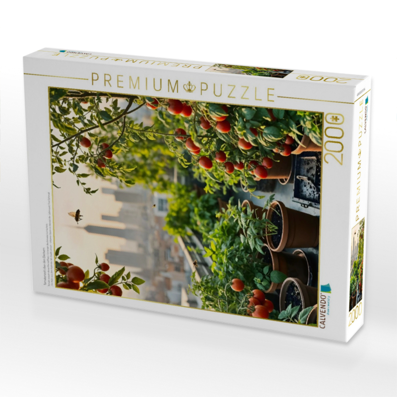 Tomatenzeit über den Dächern