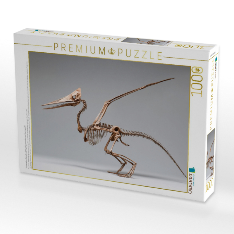 Pteranodon-Skelett mit Flügelspannweite und Kammprofil